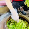 làm-rượu-đòng-đòng-hạ-thổ-3